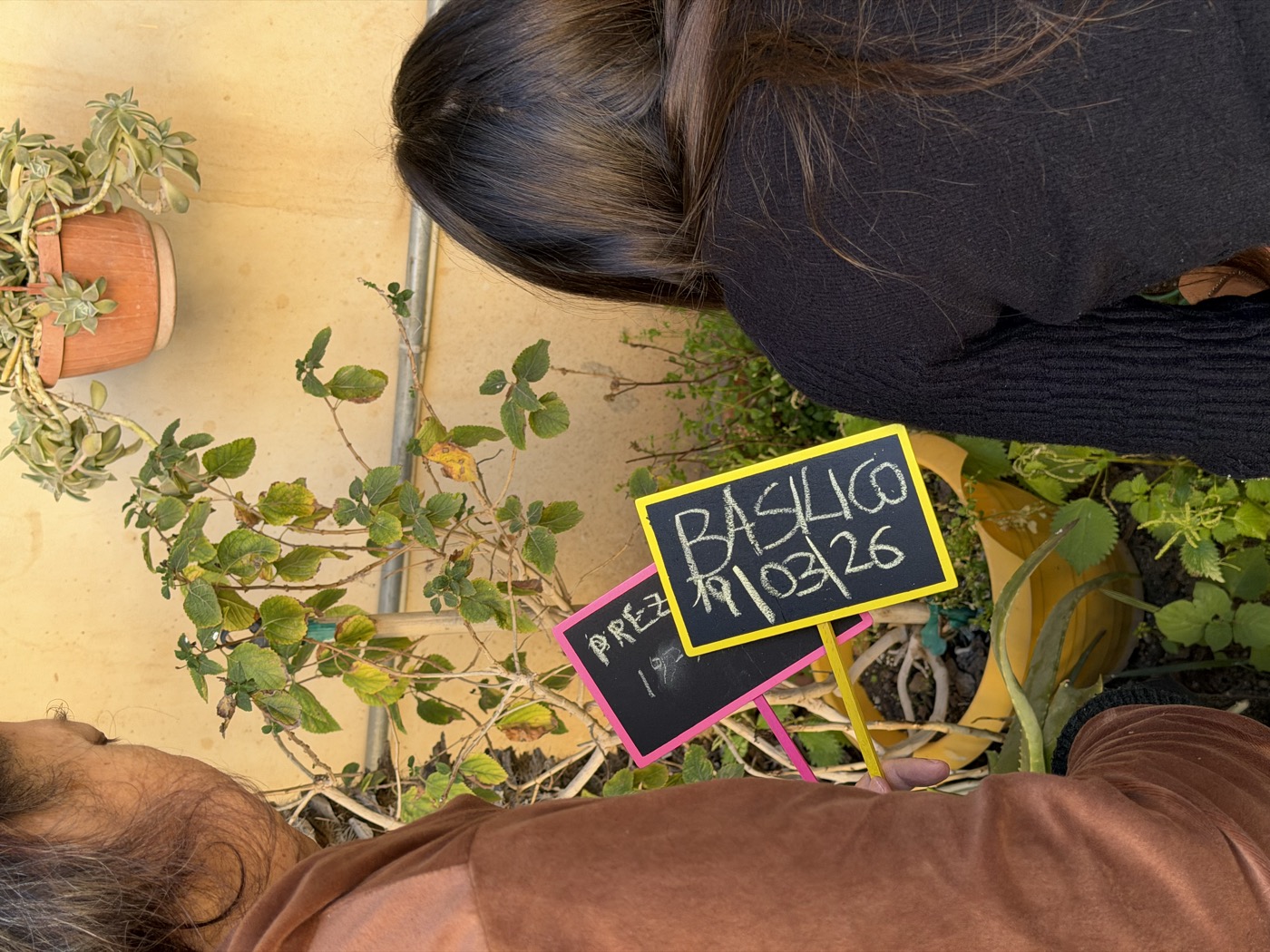 Partecipanti sistemano le etichette delle piante aromatiche