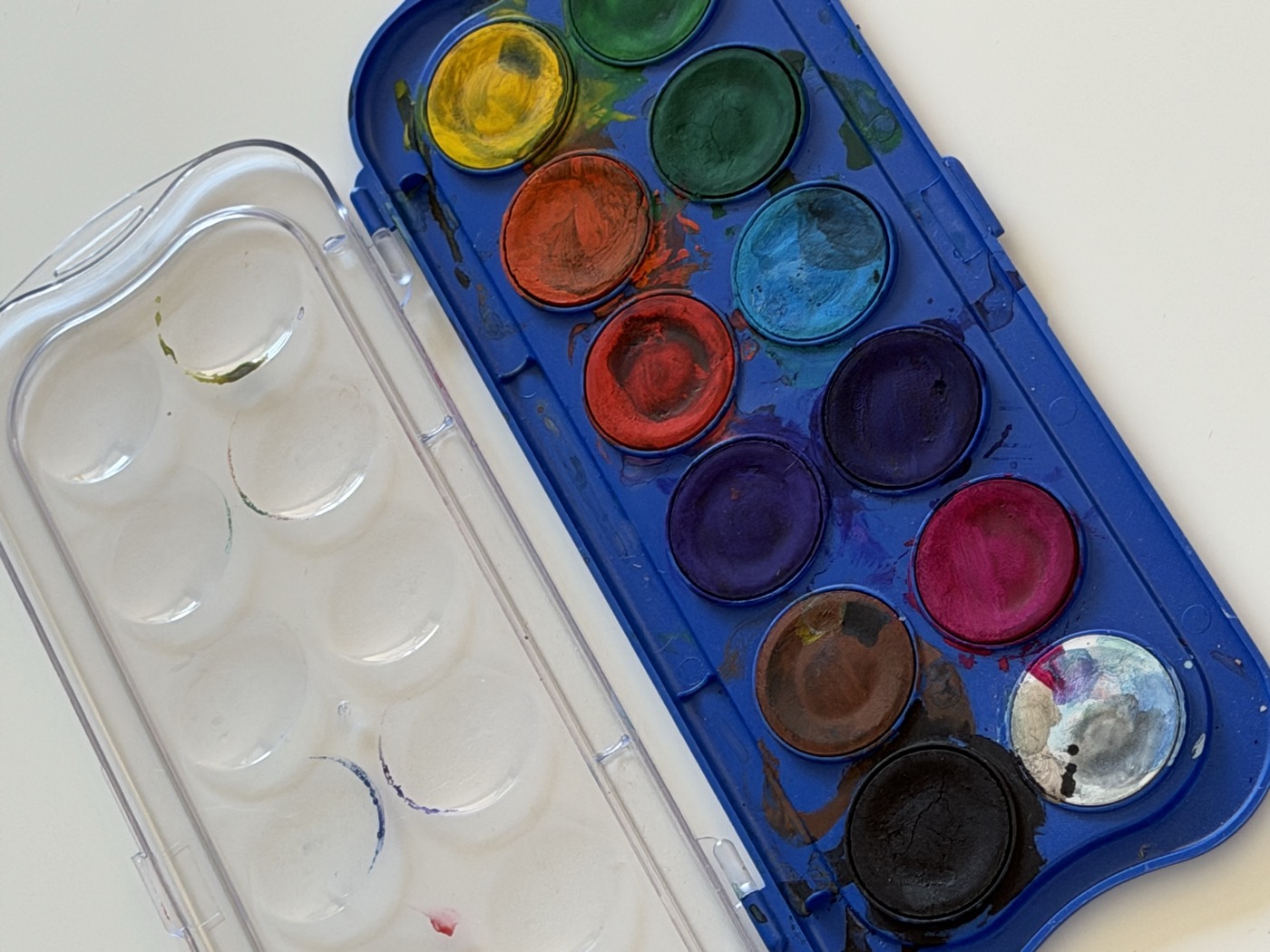 Tavolozza di acquerelli usata durante il laboratorio